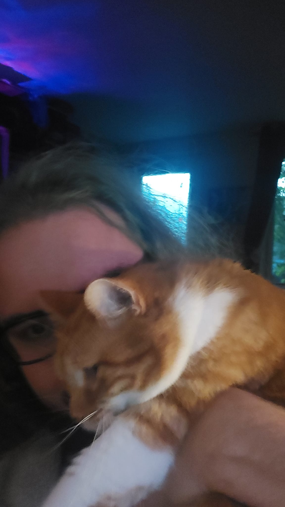 A man with green hair and a beard sits in a computer chair and holds an orange cat at eye level, Photo 3